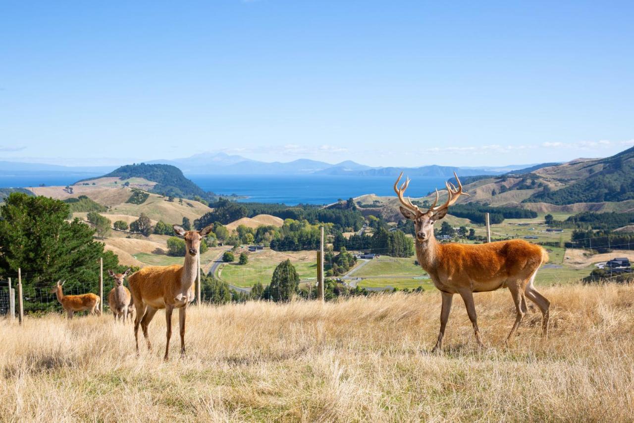 Hilltop Whakaipo Estate Taupo Exterior photo