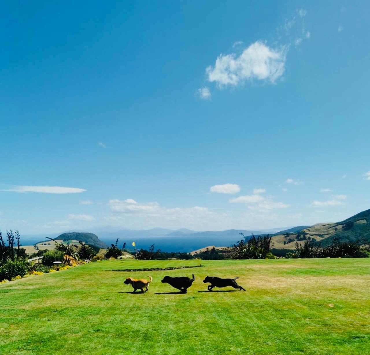 Hilltop Whakaipo Estate Taupo Exterior photo